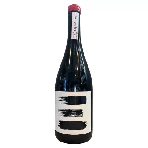 ESPONTANEO GRAVA MALBEC GUALTALLARY