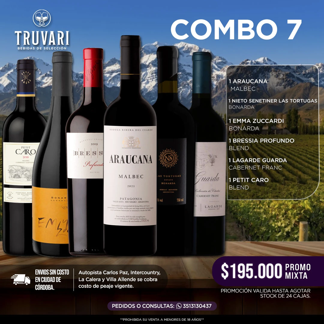 COMBO Nº7